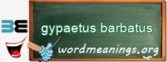 WordMeaning blackboard for gypaetus barbatus